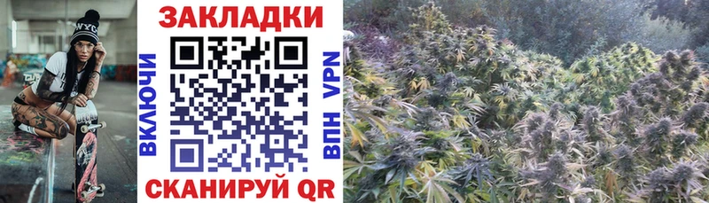 Где найти наркотики Нарткала COCAIN  Псилоцибиновые грибы  Alpha-PVP  ГАШИШ  Меф мяу мяу 