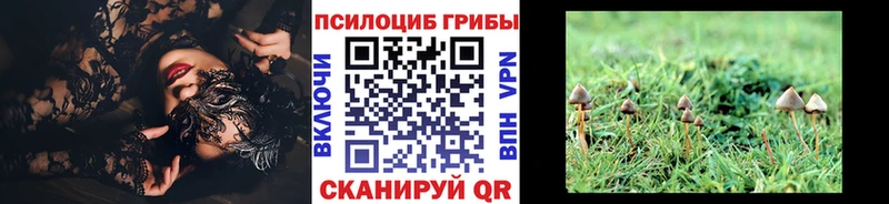 Псилоцибиновые грибы мухоморы Нарткала