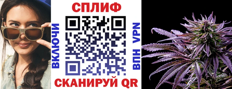 Бошки марихуана планчик  Нарткала 